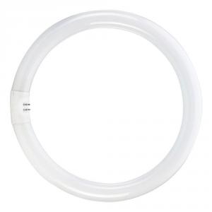 Kruhová žiarivka T5/22W 6500K 183mm